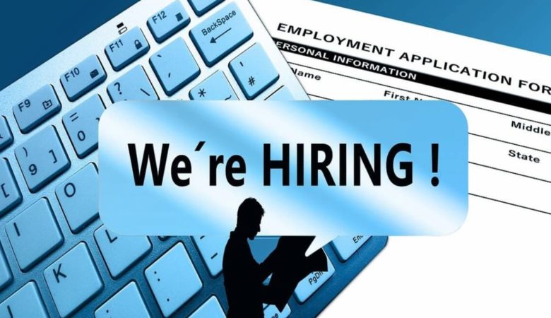 ERP System Developers